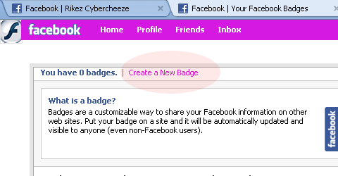 Badge Facebook 2